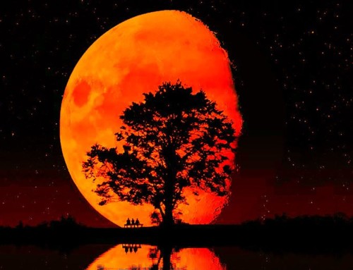 MOON, SUN, LAUGHTER